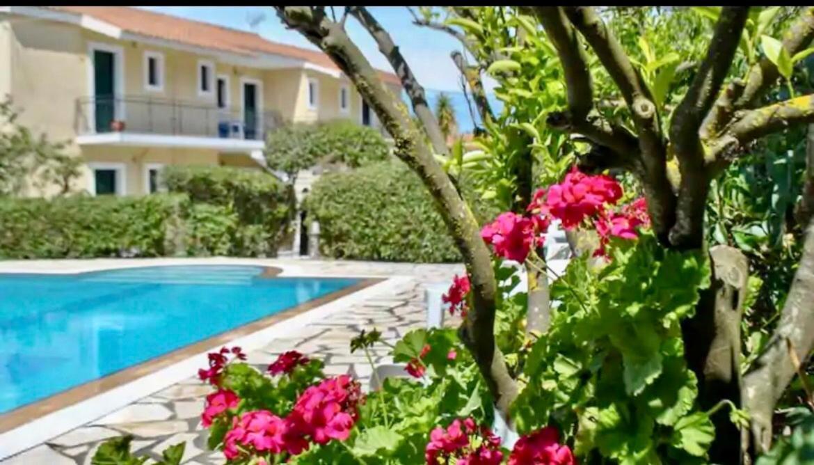 Lemon Tree Apartments B C Argostolion Exterior foto